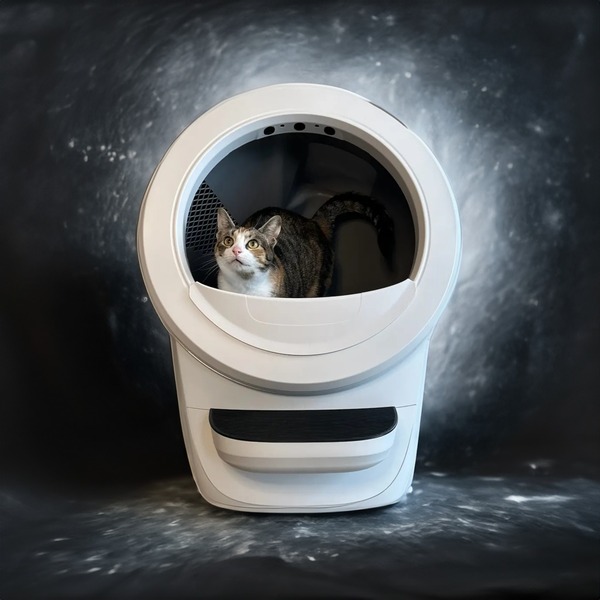 Litter Robot vs Meowant: Which Litter Box Offers the Best Value?