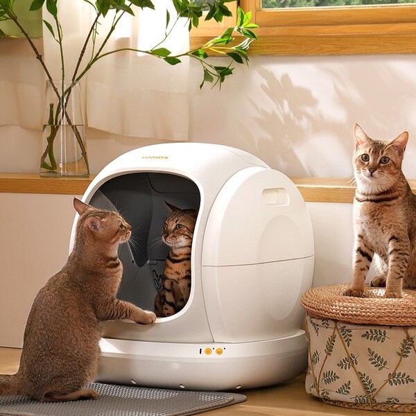 Litter Robot vs Meowant: Which Litter Box Offers the Best Value?