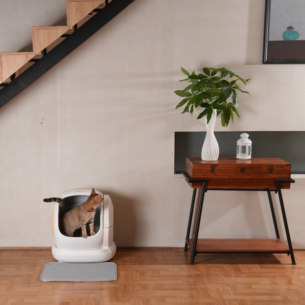Litter Robot vs Meowant: Which Litter Box Offers the Best Value?