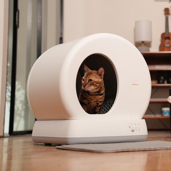 Litter Robot vs Meowant: Which Litter Box Offers the Best Value?
