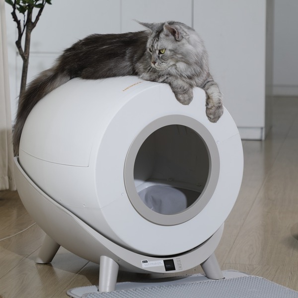 Litter Robot vs Meowant: Which Litter Box Offers the Best Value?