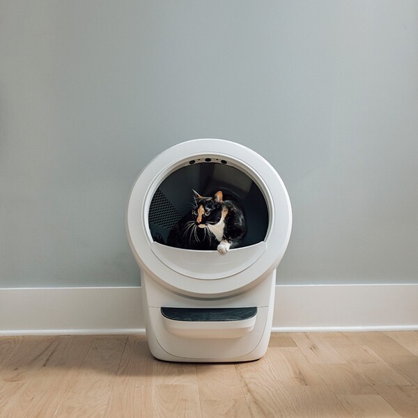 Litter Robot vs Meowant: Which Litter Box Offers the Best Value?