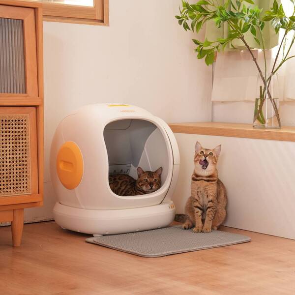 Litter Robot vs Meowant: Which Litter Box Offers the Best Value?