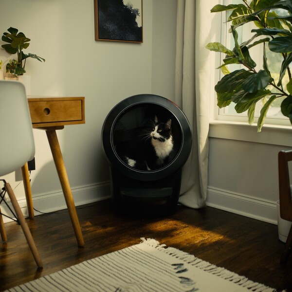 Litter Robot vs Meowant: Which Litter Box Offers the Best Value?
