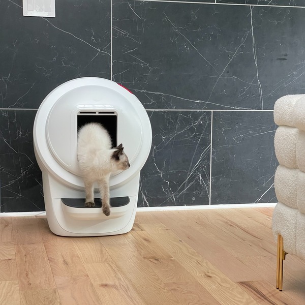 Litter Robot vs Meowant: Which Litter Box Offers the Best Value?