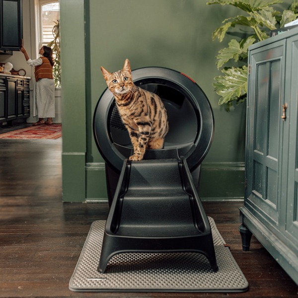 Litter Robot vs Meowant: Which Litter Box Offers the Best Value?