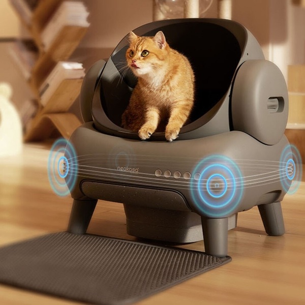 Litter Robot vs Neakasa: Which One Should You Choose in 2025?