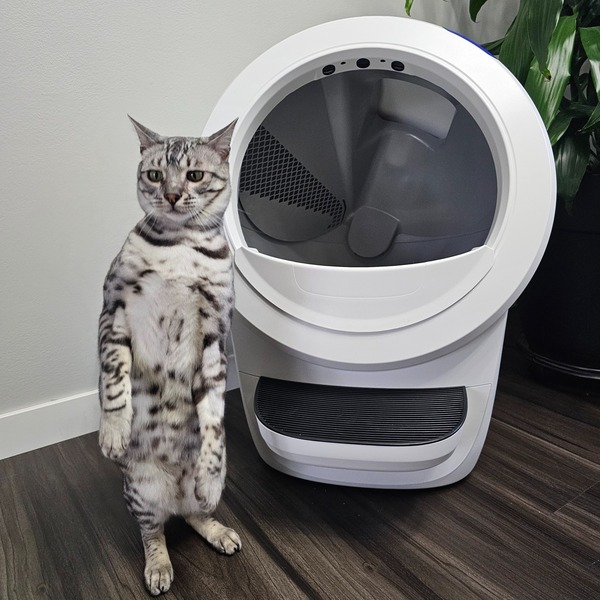 Litter Robot vs PetSnowy: Which One Should You Choose?