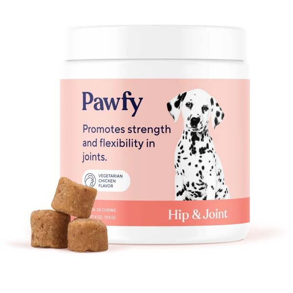 Pawfy Review: What Dog Owners Should Know Before Buying