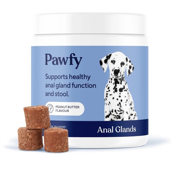 Pawfy Review: What Dog Owners Should Know Before Buying