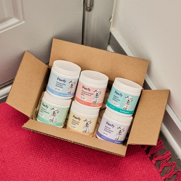 Pawfy Review: What Dog Owners Should Know Before Buying