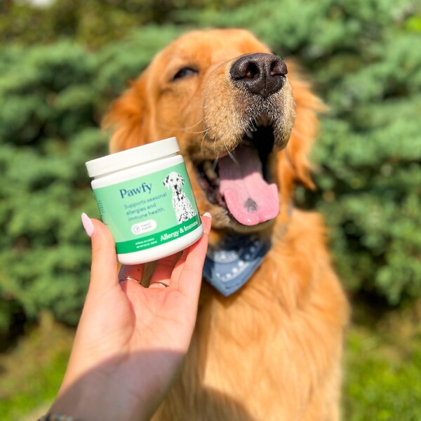 Pawfy Review: What Dog Owners Should Know Before Buying