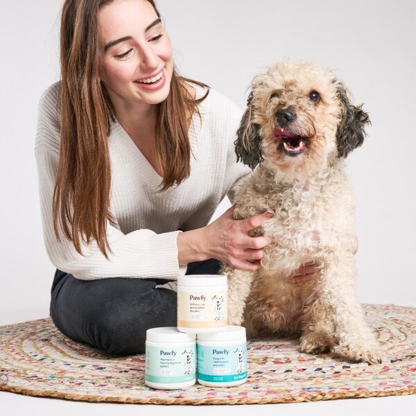 Pawfy Review: What Dog Owners Should Know Before Buying