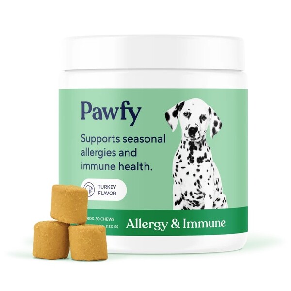 Pawfy Review: What Dog Owners Should Know Before Buying