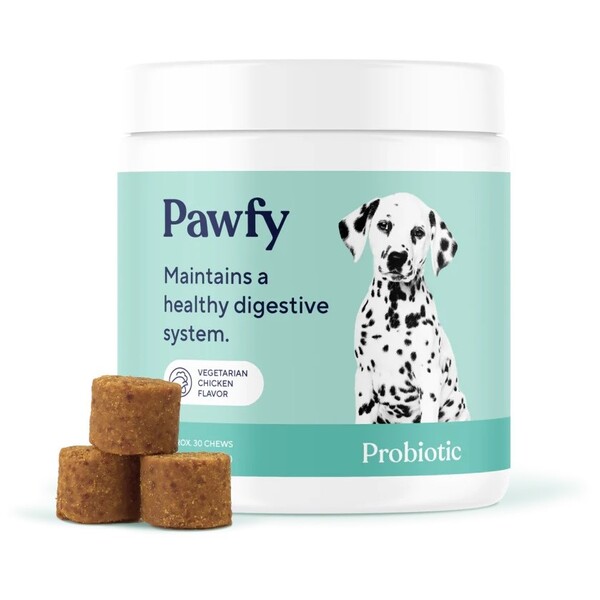 Pawfy Review: What Dog Owners Should Know Before Buying