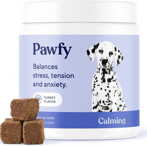 Top Vet-Approved Gifts for Dogs: Essential Items for Every Pup