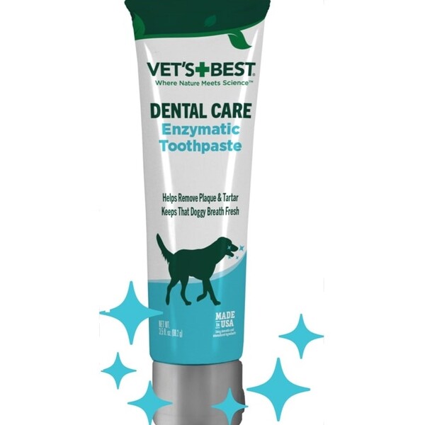 Top Vet-Approved Gifts for Dogs: Essential Items for Every Pup
