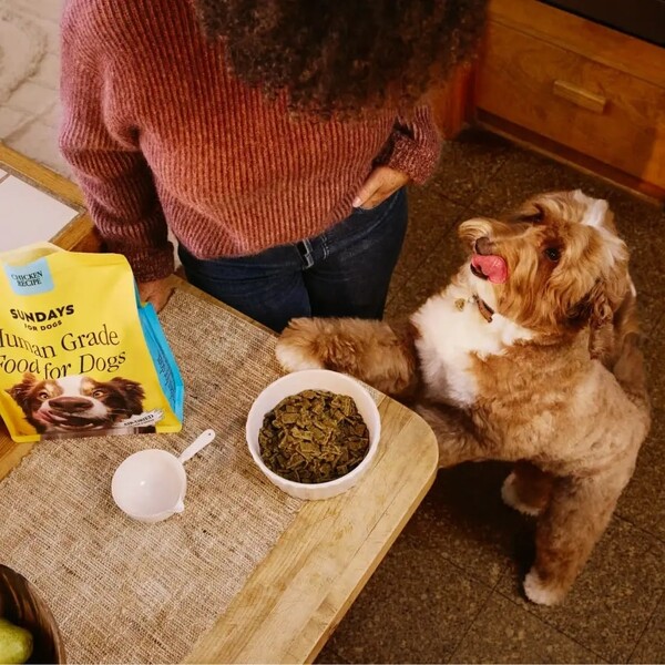 10 Best Affordable Dog Foods: Top Picks for Quality Nutrition on a Budget
