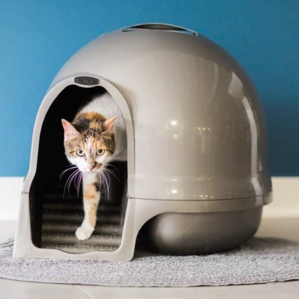 10 Best Cat Litter Box for Odor Control