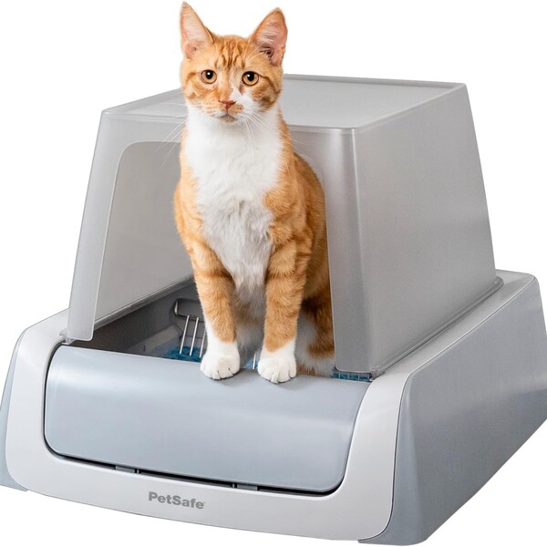 10 Best Cat Litter Box for Odor Control