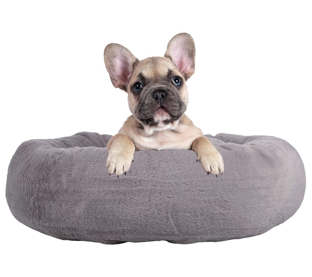 10 Best Gifts For National Pet Month 2025: Top Picks to Delight Your Pets