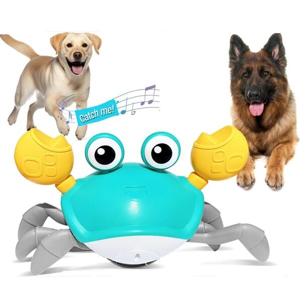 10 Best Gifts For National Pet Month 2025