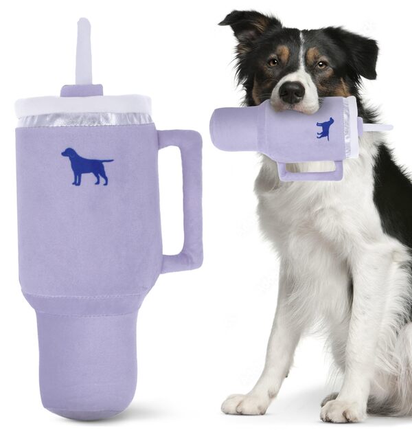 10 Best Gifts For National Pet Month 2025