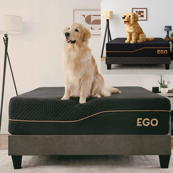 EGOHOME EGO Black 14” Mattress with Graphene Technology Review