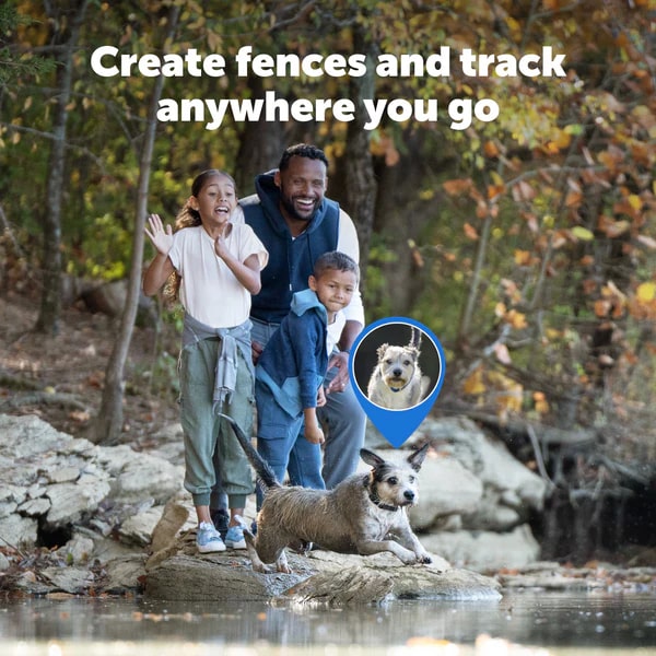 PetSafe Guardian GPS 2.0 Dog Fence + Tracking vs PetSafe Guardian GPS Fence