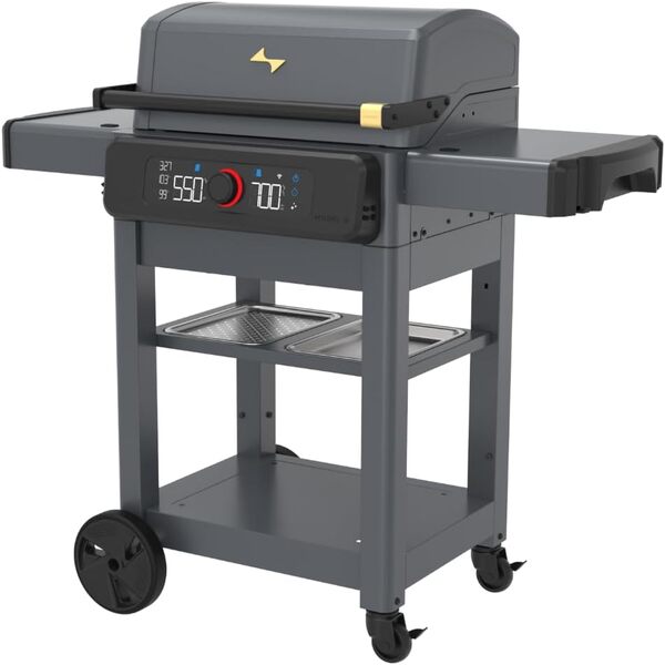 10 Best Outdoor Electric Grills