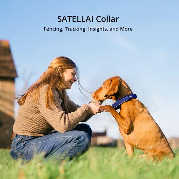 SATELLAI Review