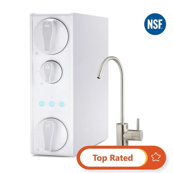 APEC Water vs iSpring: Breaking Down the Better Choice for Clean Water Deal 4 APEC Water vs iSpring