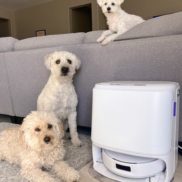 Narwal Review: Does the Tech Actually Save You Time?