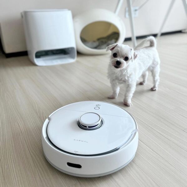 Narwal vs Roborock: Which Robot Vac Earns Its Spot in Your Home? 19 Narwal vs Roborock: Which Robot Vac Earns Its Spot in Your Home?