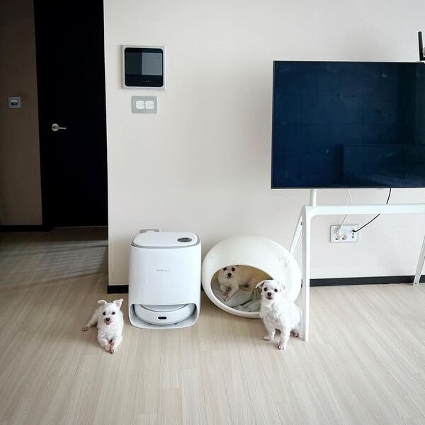 Narwal vs Roborock: Which Robot Vac Earns Its Spot in Your Home? 25 Narwal vs Roborock: Which Robot Vac Earns Its Spot in Your Home?