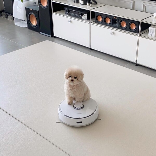 Narwal vs Roborock: Which Robot Vac Earns Its Spot in Your Home? 13 Narwal vs Roborock: Which Robot Vac Earns Its Spot in Your Home?