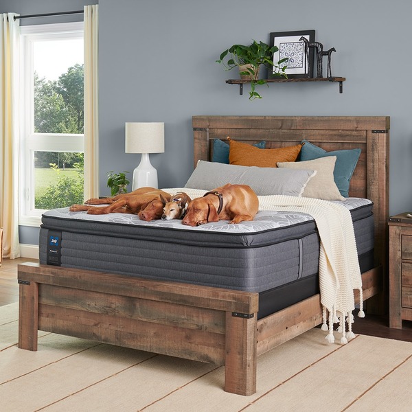Serta vs Sealy: Which is the Smarter Buy for Everyday Comfort?