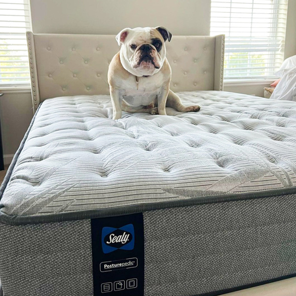 Serta vs Sealy: Which is the Smarter Buy for Everyday Comfort?