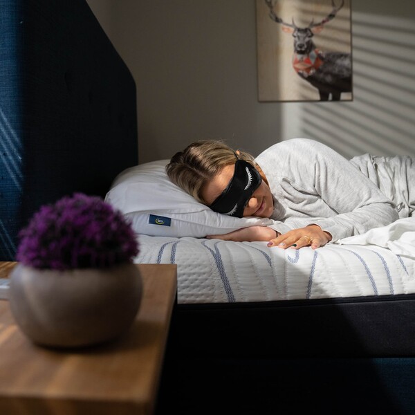 Serta vs Sealy: Which is the Smarter Buy for Everyday Comfort?