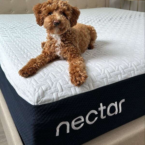 Bare Home vs. Nectar: The Showdown for Your Next Mattress Purchase 20 Bare Home vs. Nectar