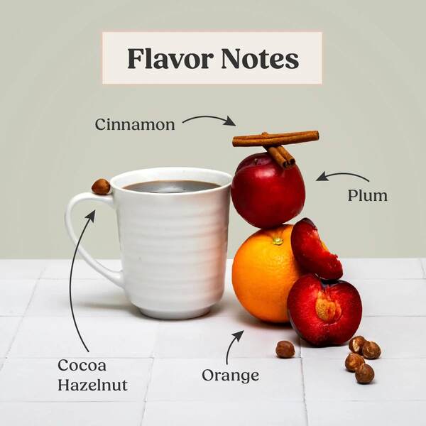 Bulletproof Review: What You Need to Know Before You Drink 18 Bulletproof Review