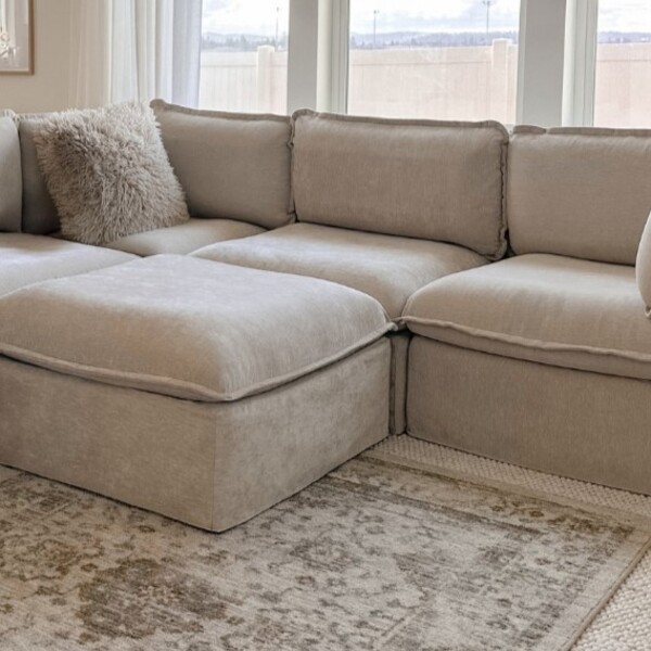 Rove Lab vs Anabei: The Better Pick for Families and Pets 14 Rove Lab vs Anabei: The Better Pick for Families and Pets