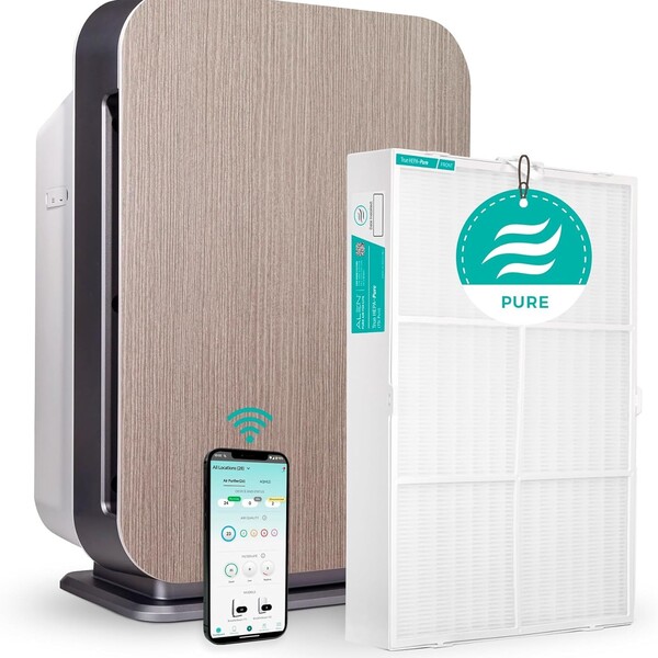 10 Best Air Purifiers for Allergies