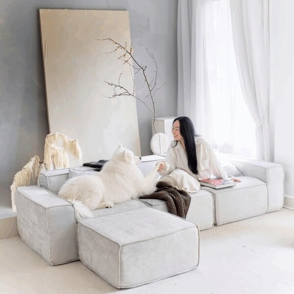 Rove Lab vs Anabei: The Better Pick for Families and Pets