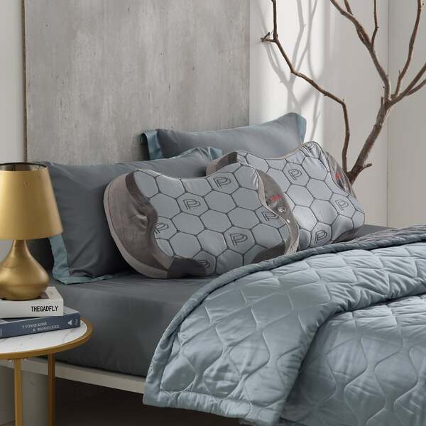 PP Persephone Graphene Silk Dreamweaver Comforter: A Comforter With Something Hidden Beneath the Surface 1 PP Persephone Graphene Silk Dreamweaver Comforter
