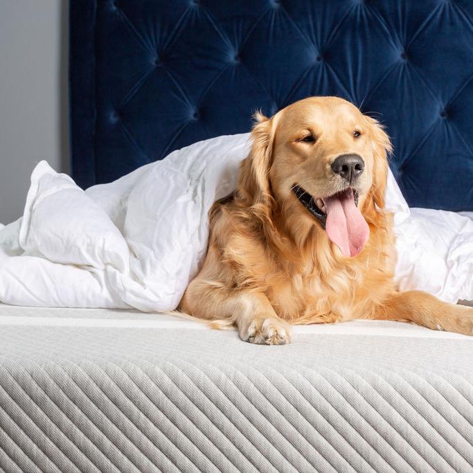 Thoughtful Housewarming Gifts That Transform Any Space Into Home