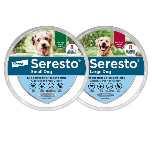 10 Best Flea and Tick Collar for Dogs Reviewed for Effective Protection