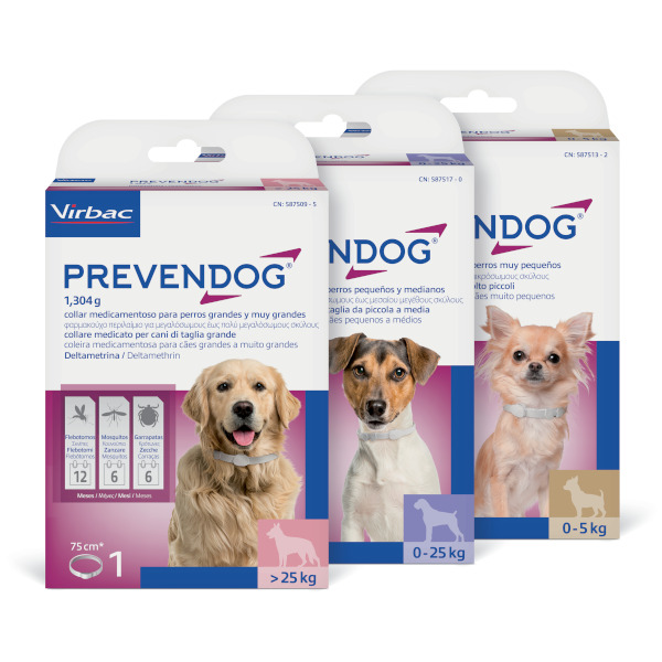 10 Best Flea and Tick Collar for Dogs Reviewed for Effective Protection