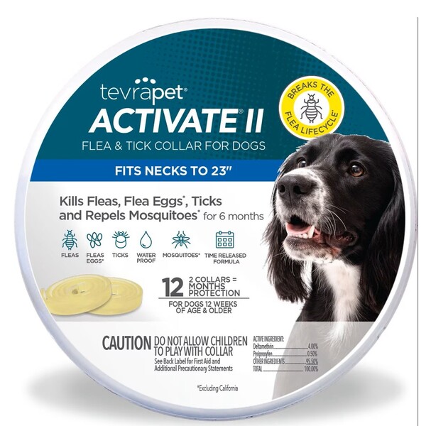 10 Best Flea and Tick Collar for Dogs Reviewed for Effective Protection