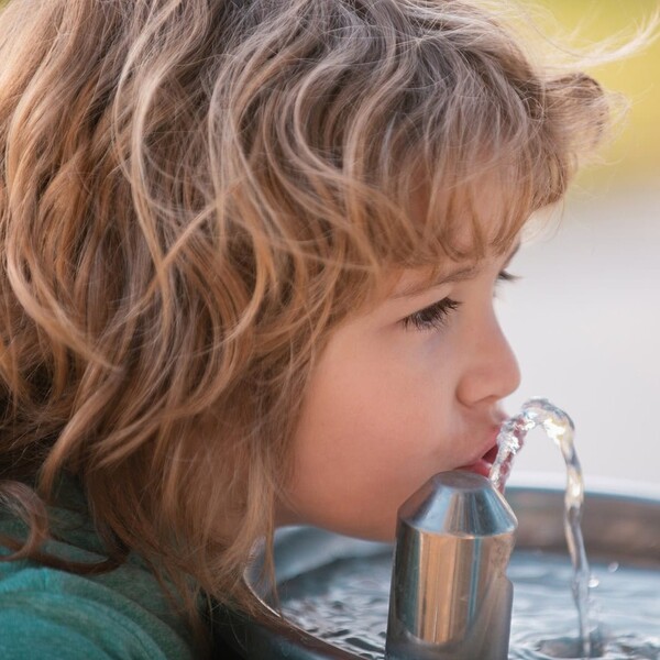 Aquasana vs Springwell: Which Water Filtration Brand Deserves a Place in Your Home? 6 Aquasana vs Springwell: Which Water Filtration Brand Deserves a Place in Your Home?